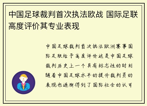 中国足球裁判首次执法欧战 国际足联高度评价其专业表现